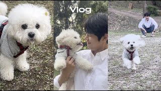 Vlog. 지친 직장인을 위로 해주는 비숑 강아지와 함께 보내는 주말 (๑'ᵕ'๑)⸝* 서울대공원 / 팔숲 카페 / 집에서 대패삼겹살 구워 먹기