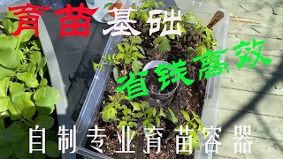 【渔耕笔记】种菜育苗 | 自制实用塑料育苗盒/育苗容器 易用 耐用 省钱