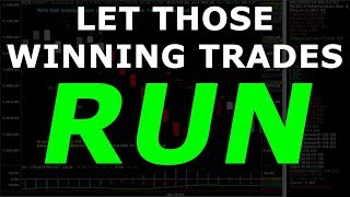 Run The Winners And Cut The Losers Like Smart Traders