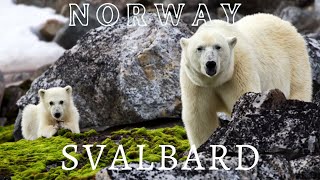 Svalbard: Norway's BEAUTIFUL Wonderland | Drone Footage \u0026 Relaxing Music