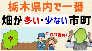 【意外な結果も】栃木県内で一番、畑が多いor少ない市町はどこ？【群馬と栃木の「おとなり劇場」】