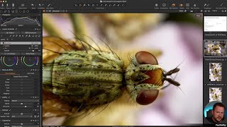 Live Editing Sessions - Capture One : 6th August 2024 (Levels, Histogram Stretching, Dynamic Range)