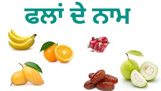 ਫਲਾਂ ਦੇ ਨਾਮ ਪੰਜਾਬੀ ਵਿੱਚ | Names of Fruits in Punjabi #punjabi #education