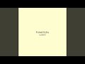 Forest Echo