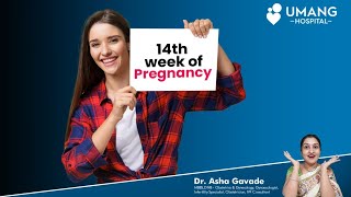 14th Week Of Pregnancy | गर्भावस्था का १४ वा सप्ताह | Dr. Asha Gavade | Umang Hospital | Pune