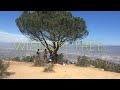 Hike to Wisdom Tree/ Cahuenga Peak in Griffith Park, California