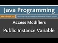 Learn Java Programming - Public Access Applied to an Instance Variable