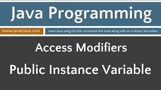 Learn Java Programming - Public Access Applied to an Instance Variable