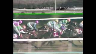 スーパークリーク 1988年 第36回京都新聞杯(GII)  (優勝馬：ヤエノムテキ)