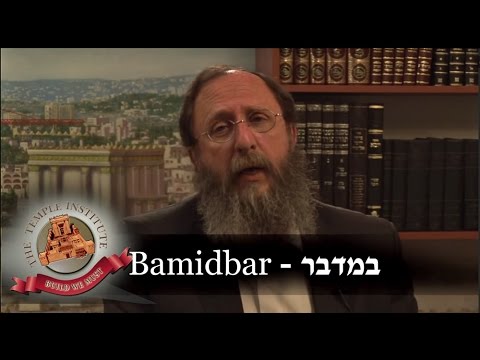 Weekly Torah Portion: Bamidbar/Shavuot - YouTube