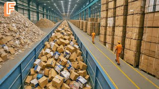 How Millions of Cardboard Boxes Are Recycled Inside Massive Recycling Line