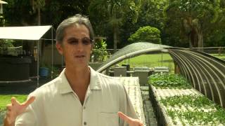 Aquaponics in Kauai, Hawaii | Renewable Food Production