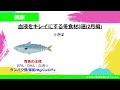 【血管寿命】血液をサラサラにする冬食材3選！低価格で家計◎減塩 血糖値 中性脂肪 コレステロール◎【管理栄養士】