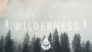 Lost In The Wilderness An Indie Folk Alternative Playlist