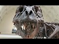 The Most Controversial T.Rex Theory Of All Time - Jurassic Park History