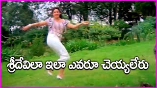 Sridevi And Krishna Super Hit Video Song | Khaidi Rudraiah Movie Songs | Telugu Super Hit Songs