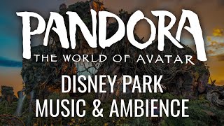 Animal Kingdom Music & Ambience - Pandora, World of Avatar | Walt Disney World