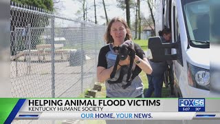 Kentucky Humane Society dedicated to helping animal flood victims
