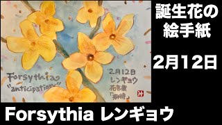 誕生花の絵手紙　2月12日　Forsythia レンギョウ