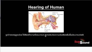 การรับฟังของหู Loudness Contour