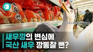 플라스틱 남용이 '국민 과자' 새우깡과 무슨 상관이...있다고?! / 비디오머그