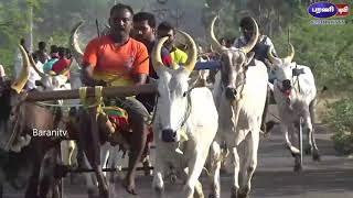 வல்லநாடு சின்ன மாட்டு வண்டி போட்டி 2021 - முதல் சுற்று - Vallanadu Small Bull Truck