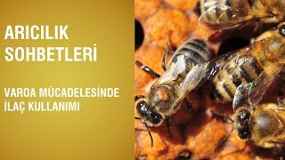 Arıcılık Sohbetleri - Varoa Mücadelesinde İlaç Kullanımı