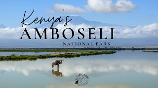 Amboseli National Park, one of the most popular parks in Kenya!