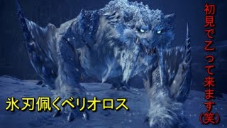 【MHWIB/PS4】氷刃佩くベリオロス初見プレー【参加型：VC有り】