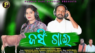 Jarsi Gai || New Kuwi Video || Padman Pani \u0026 Anjali Bibhar || New Kuwi Latest Song 2022