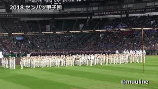 「今ありて」吹奏楽Ver 警察音楽隊 2018センバツ高校野球大会 行進曲 谷村新司 作曲 甲子園