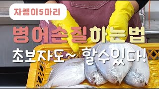 병어손질~병어이쁘게 손질하는 방법 초보도 쉽게 따라 할수 있어요~