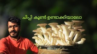 കൂൺ കൃഷി ആർക്കും ചെയ്യാം