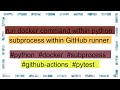 run docker command within python subprocess within GitHub runner