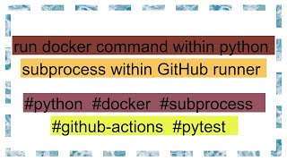 run docker command within python subprocess within GitHub runner