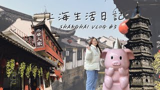 《上海交換生日记》#3 出門玩囉 | 一探究竟古鎮之美 | 開發那些台灣沒有的小吃