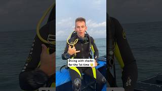 1st Time Diving With Sharks