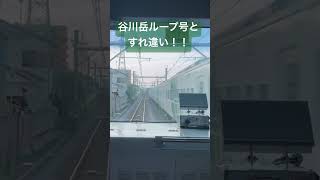 185系臨時特急谷川岳ループ号大宮行きとすれ違いするシーン #jr東日本 #撮り鉄 #鉄道 #電車 #特急 #警笛 #e231系 #e233系 #185系 #谷川岳 #高崎線 #離合