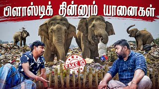 பிளாஸ்டிக் உண்ணும் யானைகள் | Fake ID  Promo