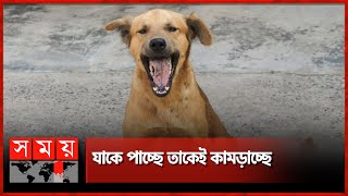 দুইদিনে অন্তত ৬০ জন কুকুরের কামড় খেয়ে হাসপাতালে  | Faridpur Stray Dog | Dog Bite | Somoy National