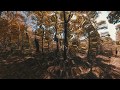 Mantra VR Tutorial: Circular Waves