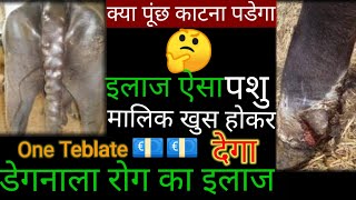 Degnala disease in cattle ! degnala disease in buffalo |पशु के डेगनाला रोग का इलाज!@VetSurgery