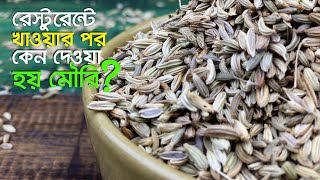 মৌরি খাওয়ার উপকারিতা | রেস্টুরেন্টে খাওয়ার পর যেসব কারনে মৌরি দেওয়া হয়