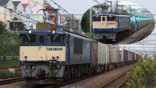 2018年 10月11日 EF64 1022号機 3075レ 旅客線迂回