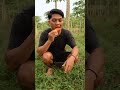 cari sarang burung dan buah buahan🤤 petualangan minivlog vlog