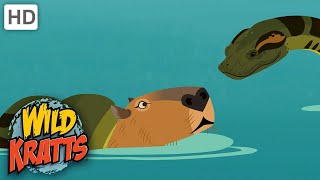 Wild Kratts | Capybara vs ANDACONDA | NATURE
