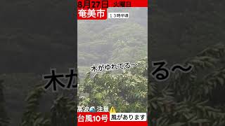 奄美市　台風10号　13時すぎ風強い、西からの風　2024年8月27日