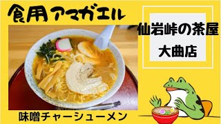 秋田県大仙市‼️【仙岩峠の茶屋 大曲店】国道46号線にある、あの\