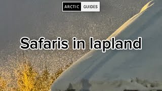 ACTIVITIES IN LAPLAND || INARI, IVALO, NELLIM \u0026 SAARISELKÄ