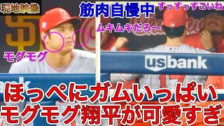 ガムが大きすぎる?!【もぐもぐ翔平】大谷翔平選手の一生懸命ガムを噛む姿が可愛すぎた！バリアと筋肉勝負?!チームメイトと笑顔いっぱいの時間をご覧あれ！